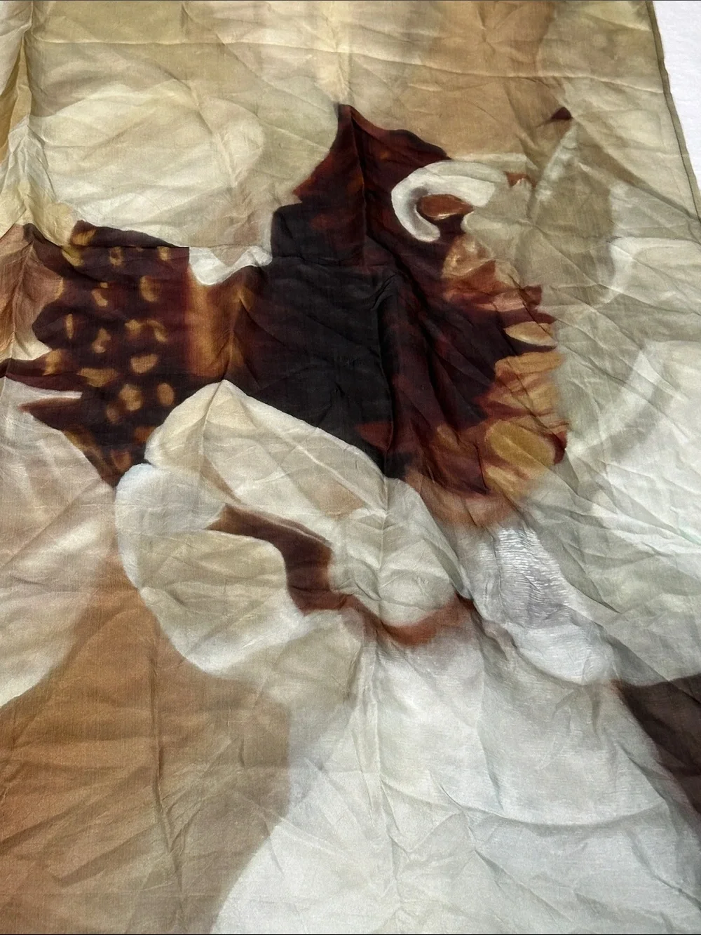 Chan Luu Brown and Cream Sunflower Print Silk Scarf!